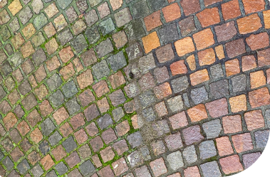 Nahaufnahme eines abgenutzten Kopfsteinpflasterwegs mit Moos in unterschiedlichen Rot-, Orange- und Grüntönen, das zwischen den Steinen wächst und auf die Notwendigkeit einer Reinigung hinweist.